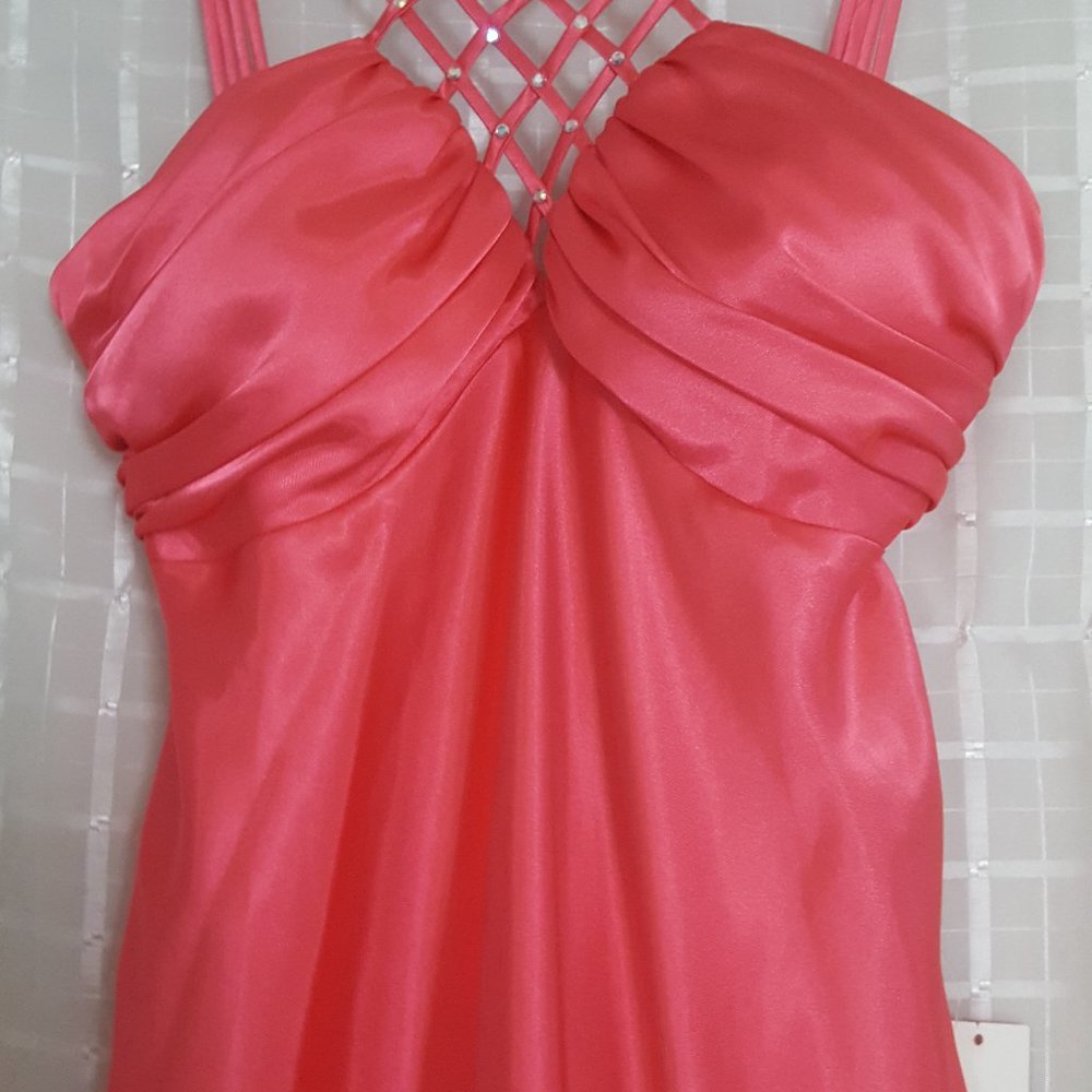 BEAUTIFUL, LONG, ELEGANT, DRESS BY: CAROL LIN SIZE 4  COLOR: CORAL (PEONY)